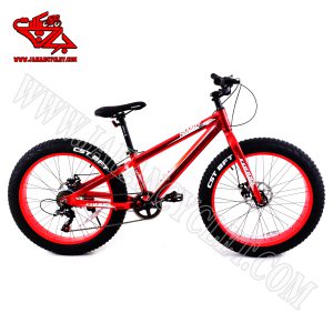دوچرخه کافیدیس قرمز24