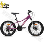 دوچرخه سایز 20 ENDURA مدل DURA.